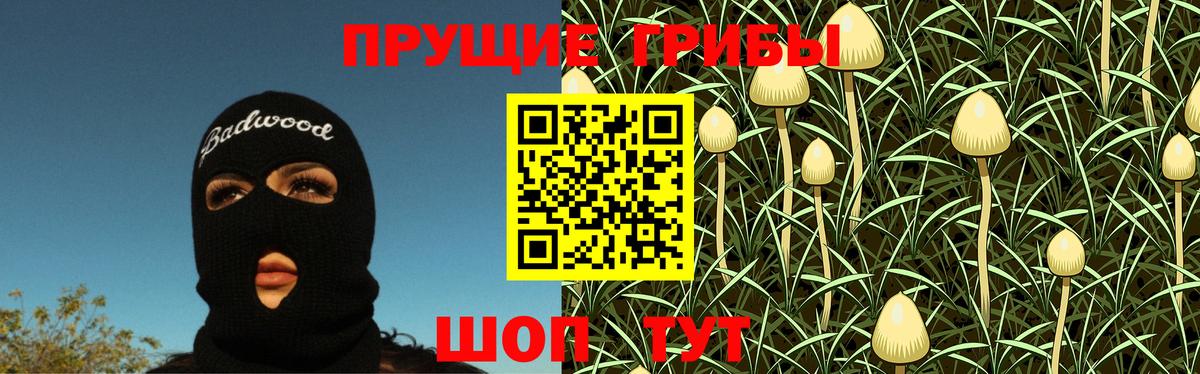 Псилоцибиновые грибы ЛСД  Вход с VPN  купить наркотики сайты  Славгород 