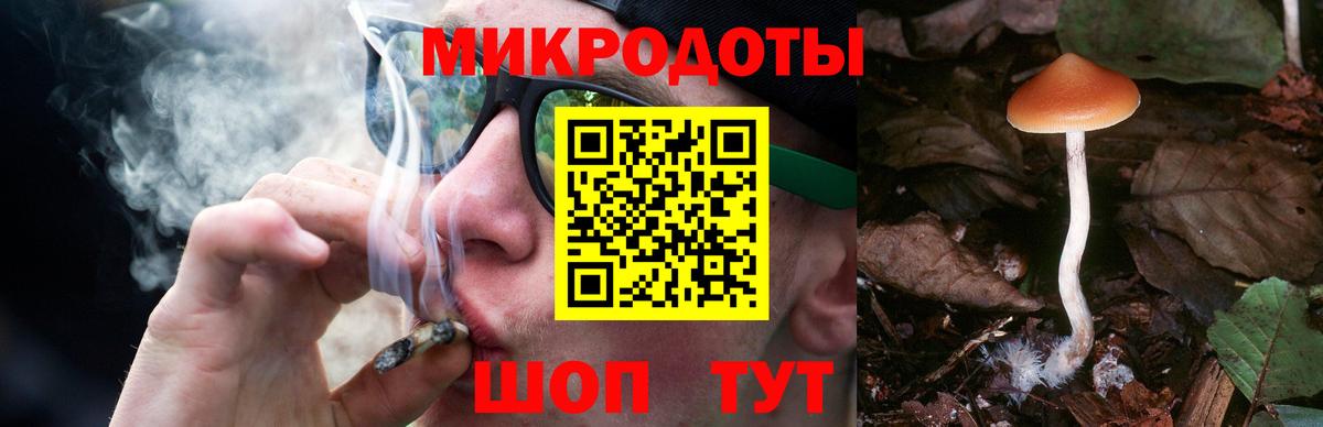 Псилоцибиновые грибы GOLDEN TEACHER Славгород